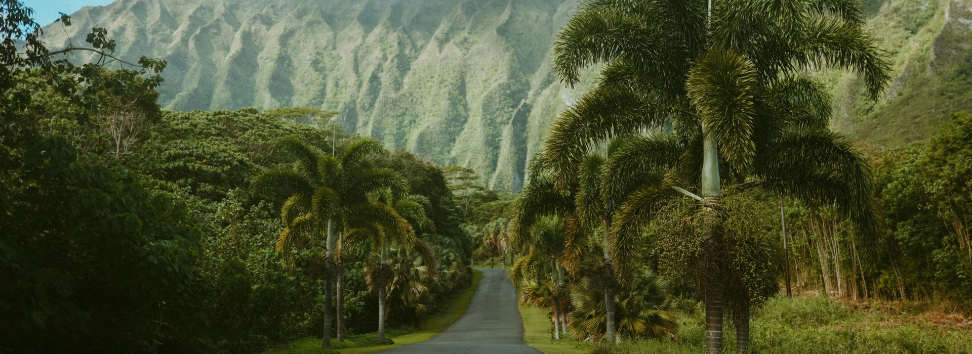 Spacious modern living room with dining area, beige and gray tones, large windows, and a colorful rug.