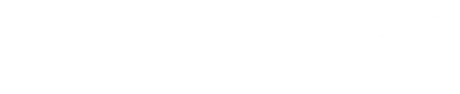 Saavvy Carrier