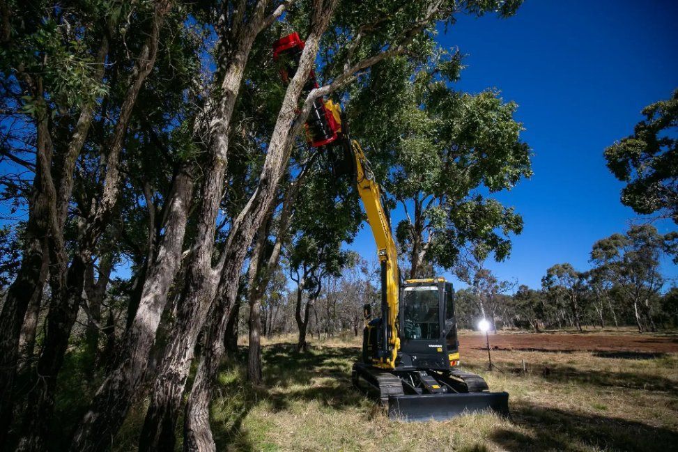 A Yellow Excavator Is Cutting a Tree in A Forest — RC Civil in Armidale, NSW