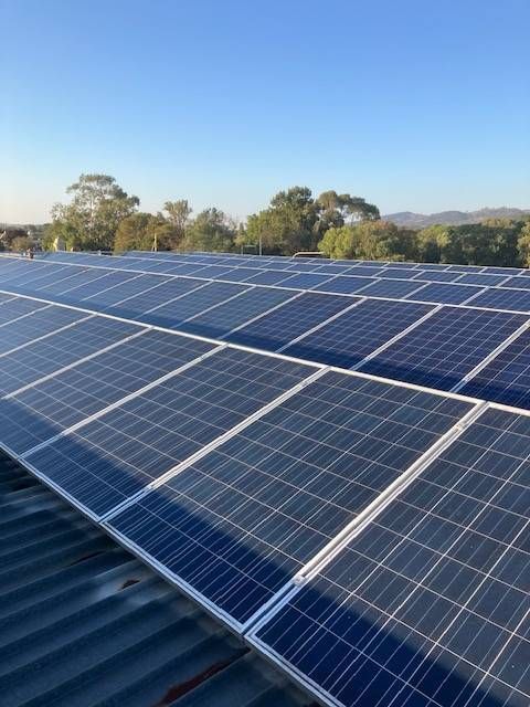 Solar panels on a rooftop under a clear blue sky; trees in the background. — Todd Basham Electrical in Harden, NSW