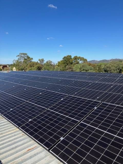 Solar panels on a rooftop under a clear blue sky, trees in the background. — Todd Basham Electrical in Cootamundra, NSW