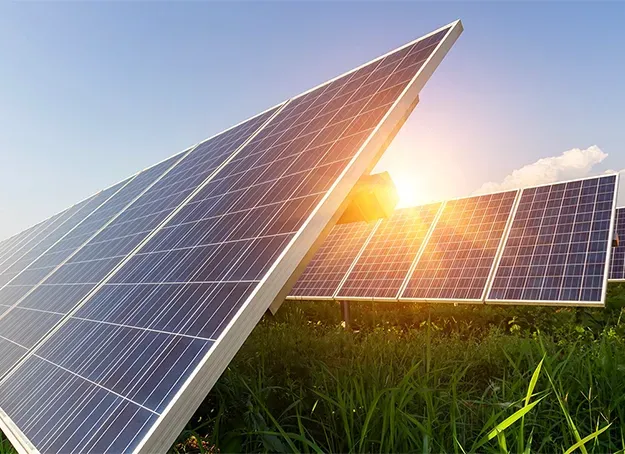 Solar Panels Installed in a Field — Todd Basham Electrical in Cootamundra, NSW