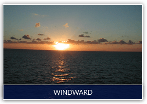 Learn about Windward