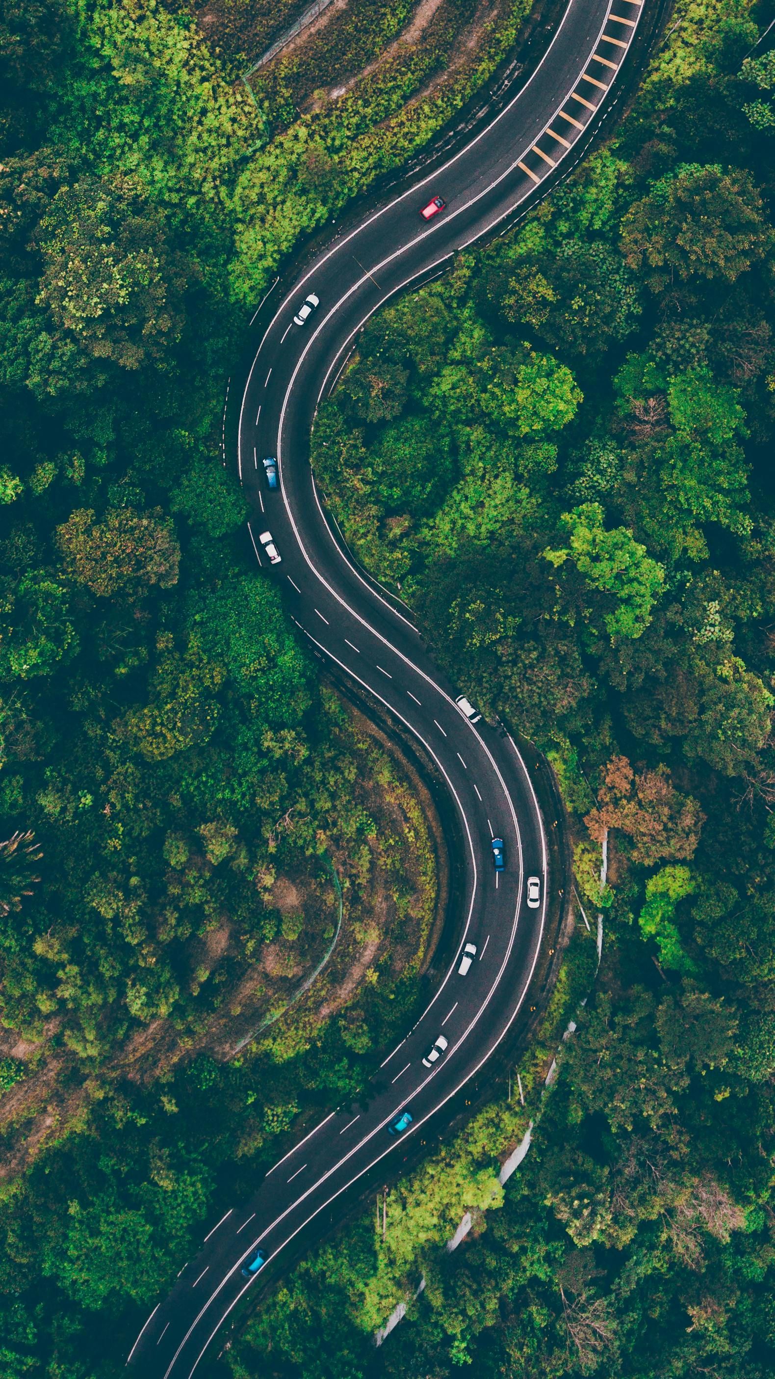 An aerial view of a winding road surrounded by trees.