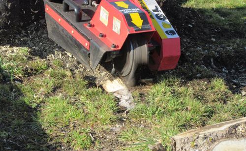 Complete stump removal services in Wanganui, NZ