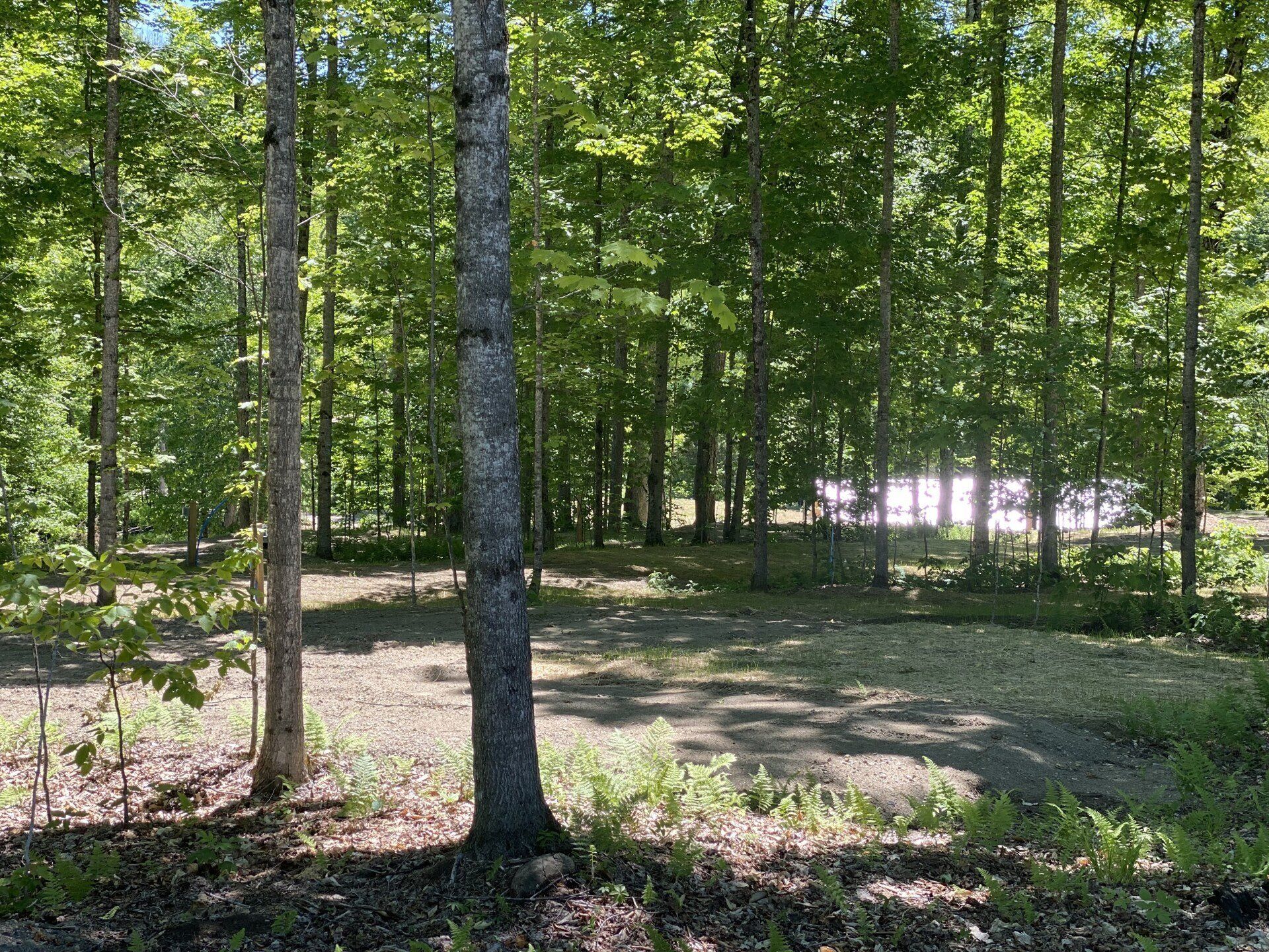 Maple Brook Campground | Campground in Northeast Kingdom of VT