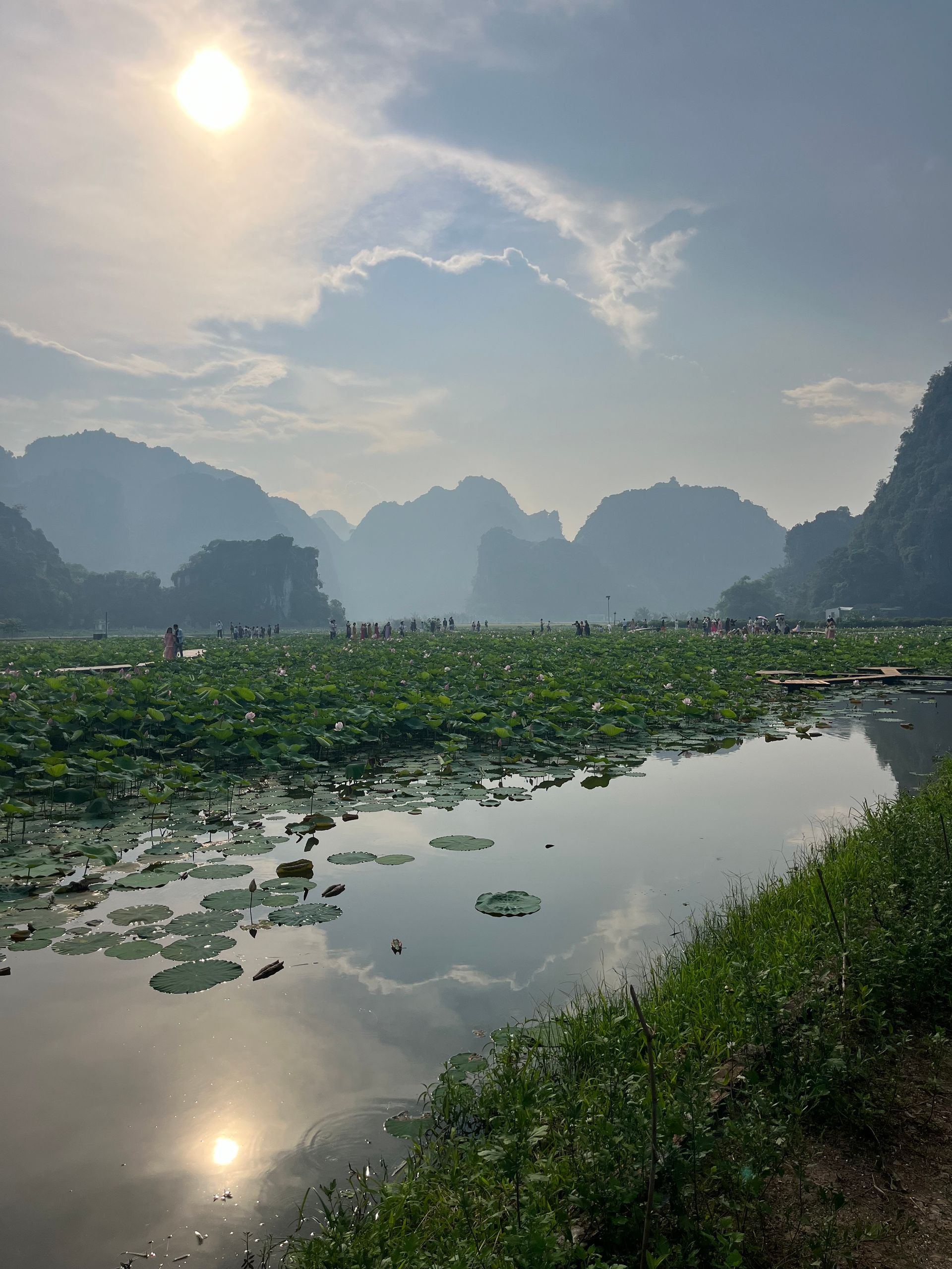 Sun reflecting in water, mountains in the hazy distance, and a field of lily pads in Ninh Binh, Vietnam.