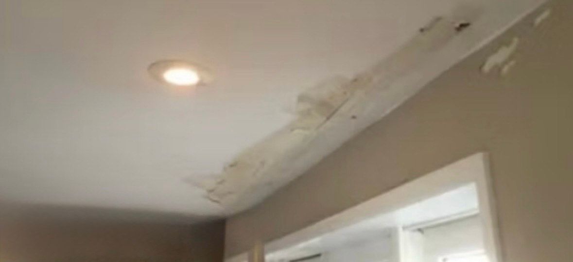 Drywall Repair