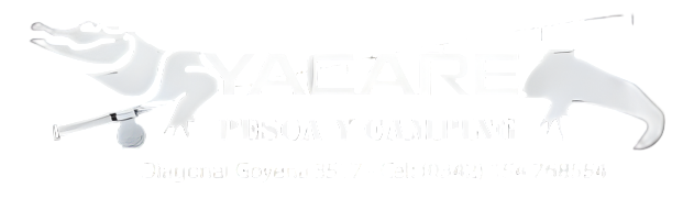 Yacaré Pesca y Camping logotipo