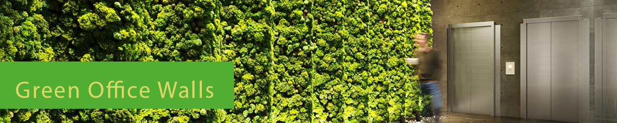 Groene kantoorwanden