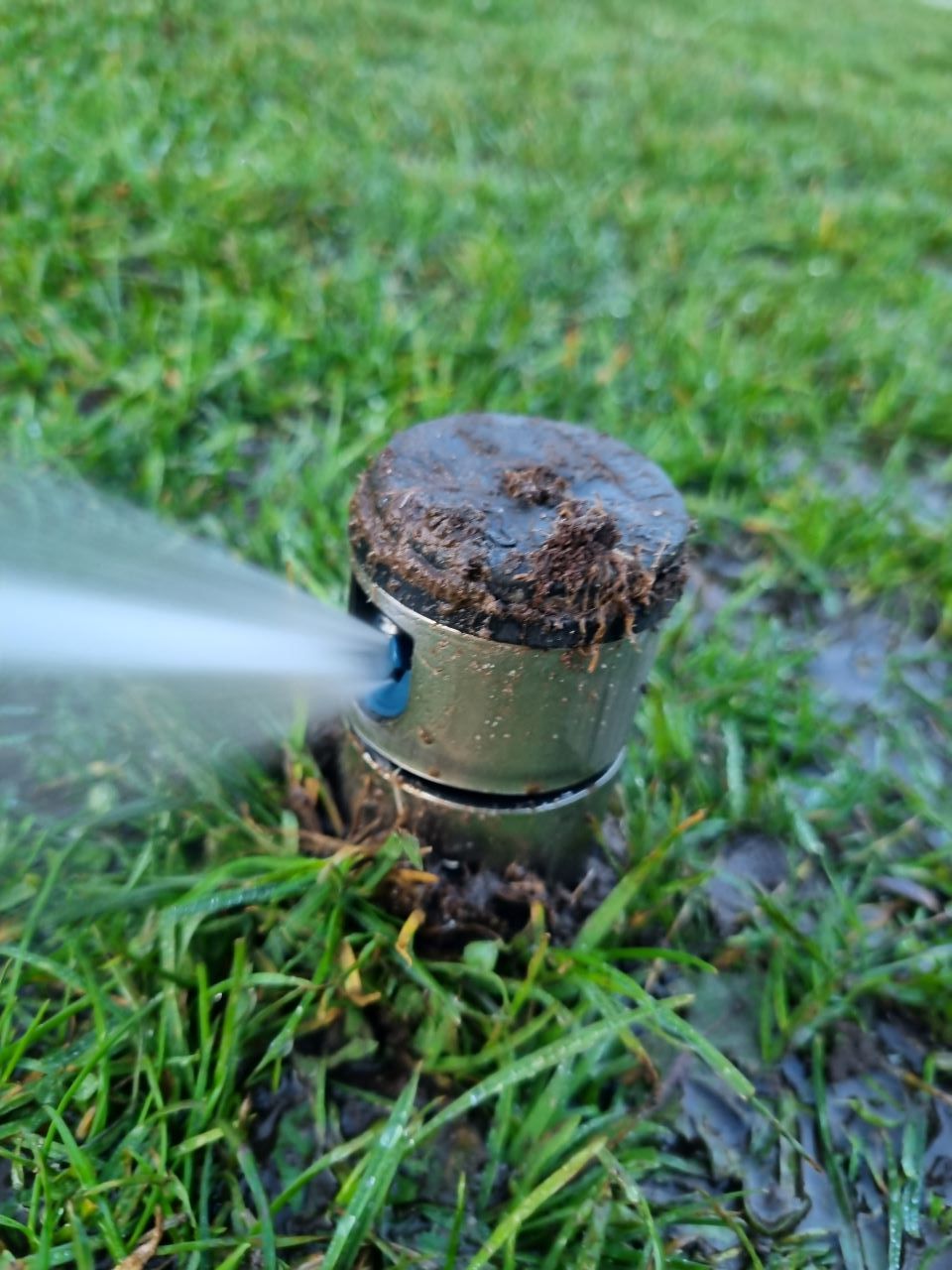 optimal water management by monitoring weather conditions