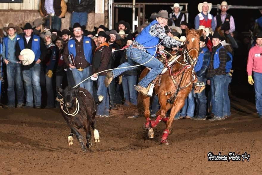 A man is riding a horse and roping a bull