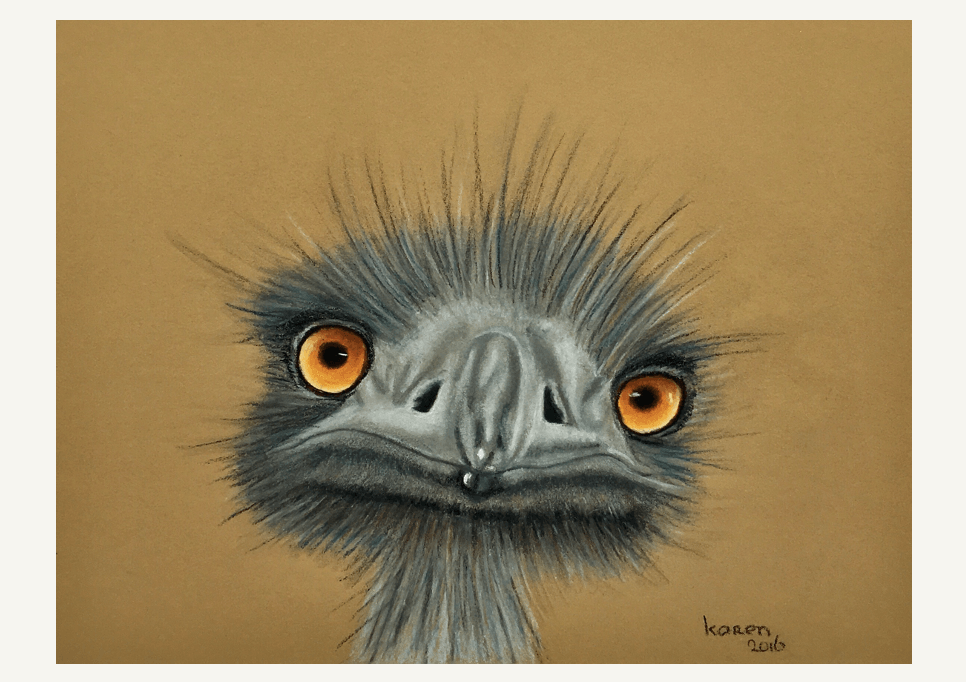 Pasteltekening van een Emoe met mooie ogen