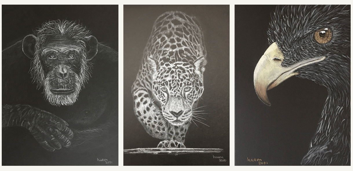 Tekeningen op zwart papier van aap, tijger en arend
