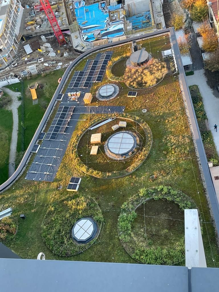 PV-Anlage Freifläche