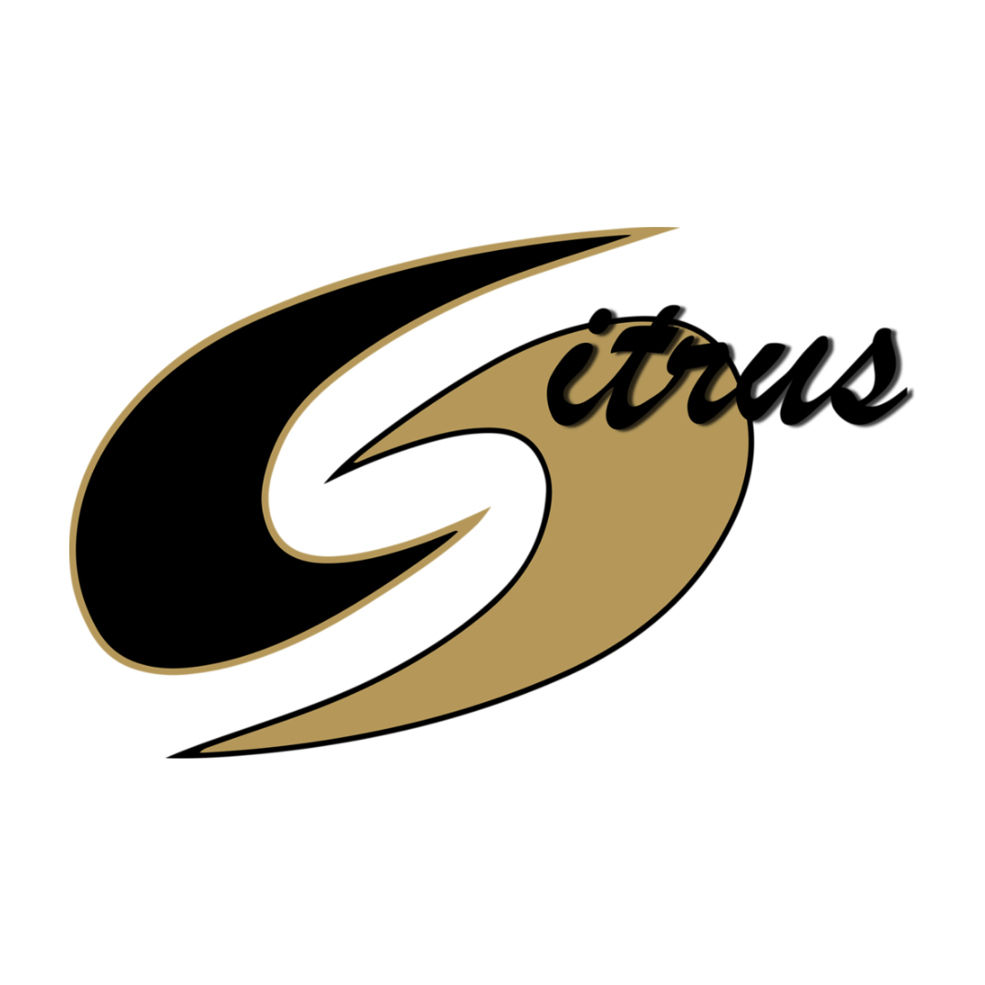 A black and gold logo for sirius on a white background