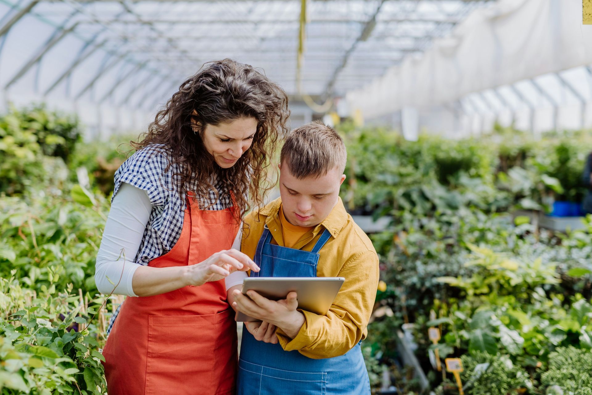 A person in a red apron and another in a yellow shirt and blue apron use a tablet together inside a lush greenhouse.