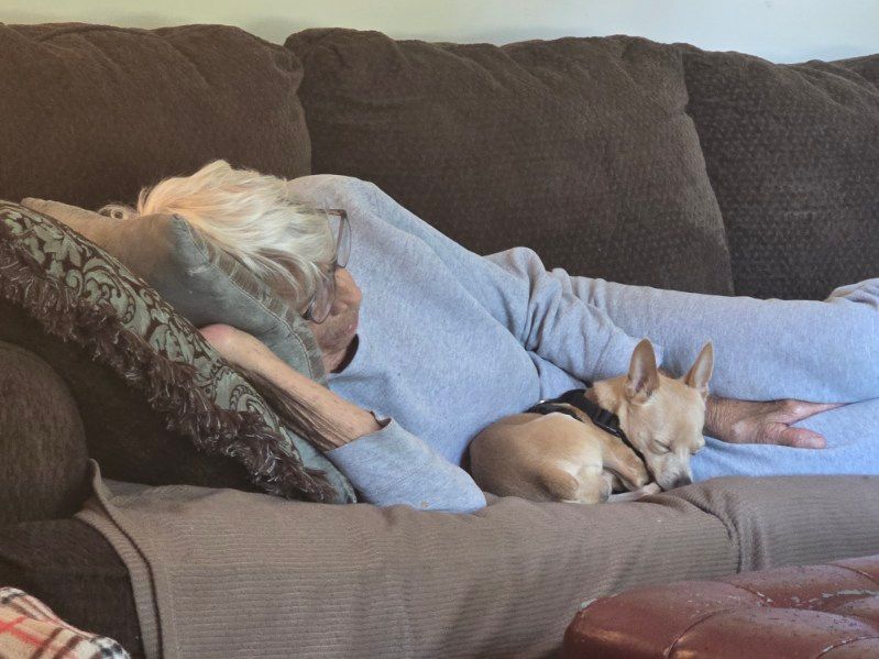 Woman asleep on a brown sofa with a small dog curled up next to her.