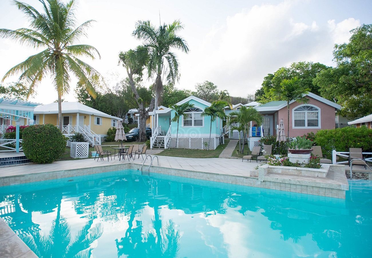 A swimming pool surrounded by houses and palm trees