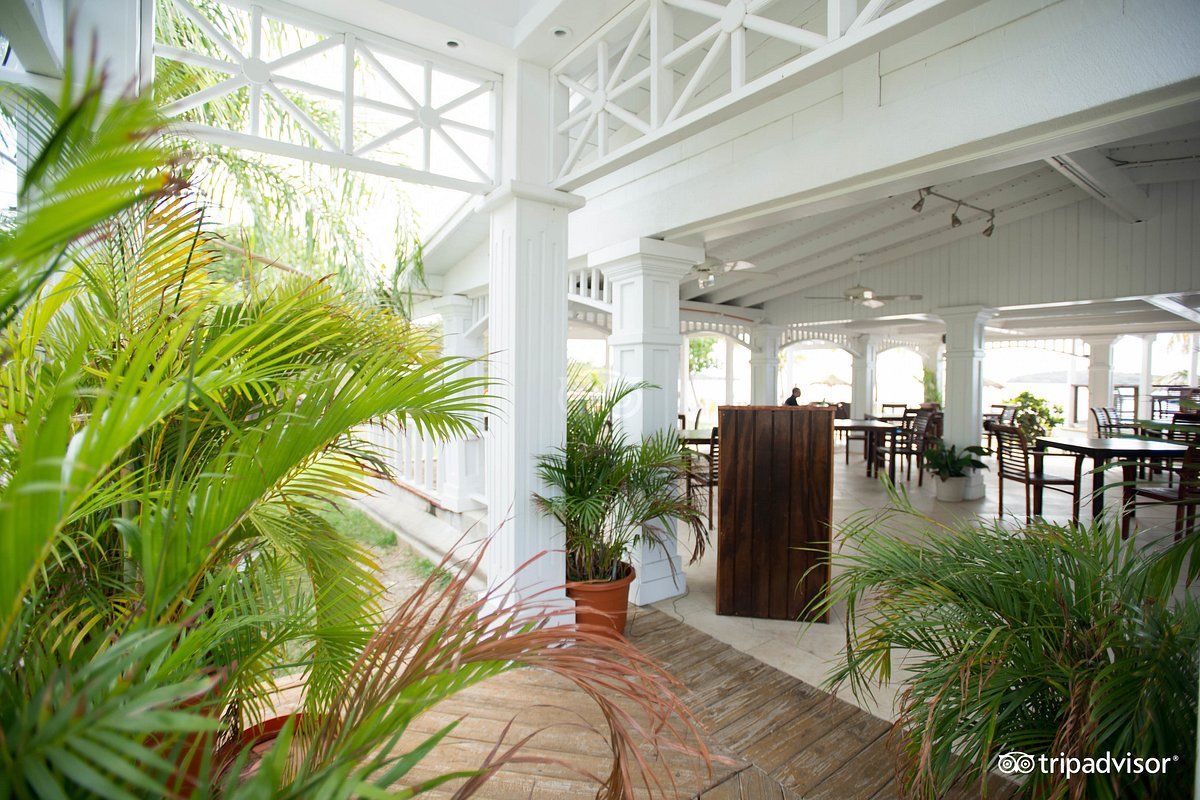 A large room with tables and chairs and lots of plants.