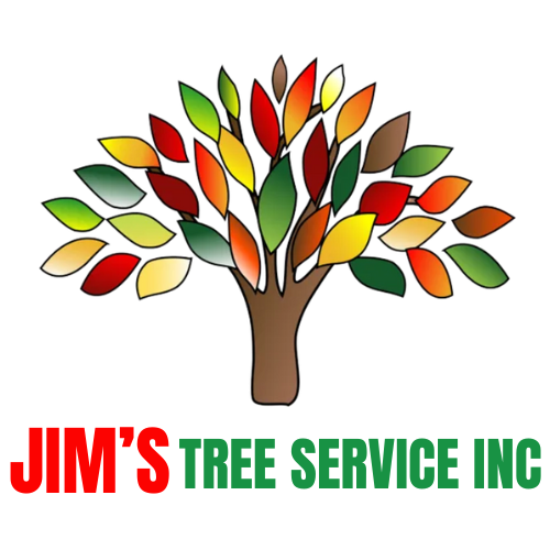 Jim's Tree Service in Conway, Cabot and Little Rock, Arkansas