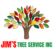 Jim's Tree Service in Conway, Cabot and Little Rock, Arkansas