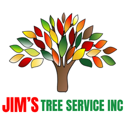 a logo for jim 's tree service inc shows a tree with colorful leaves