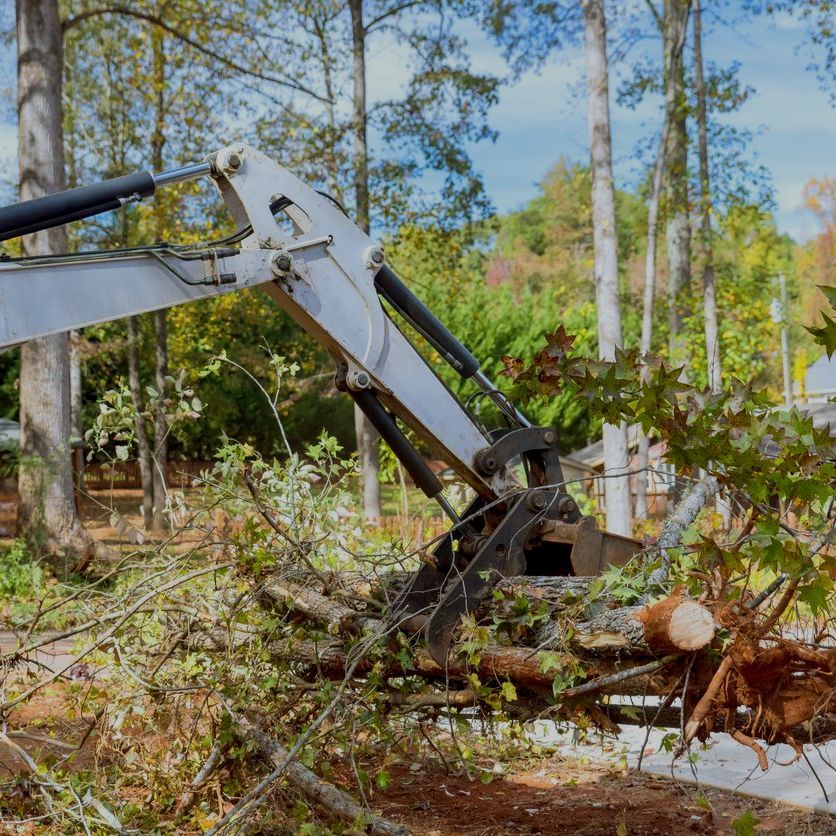 a bulldozer is cutting down a tree in the woods .