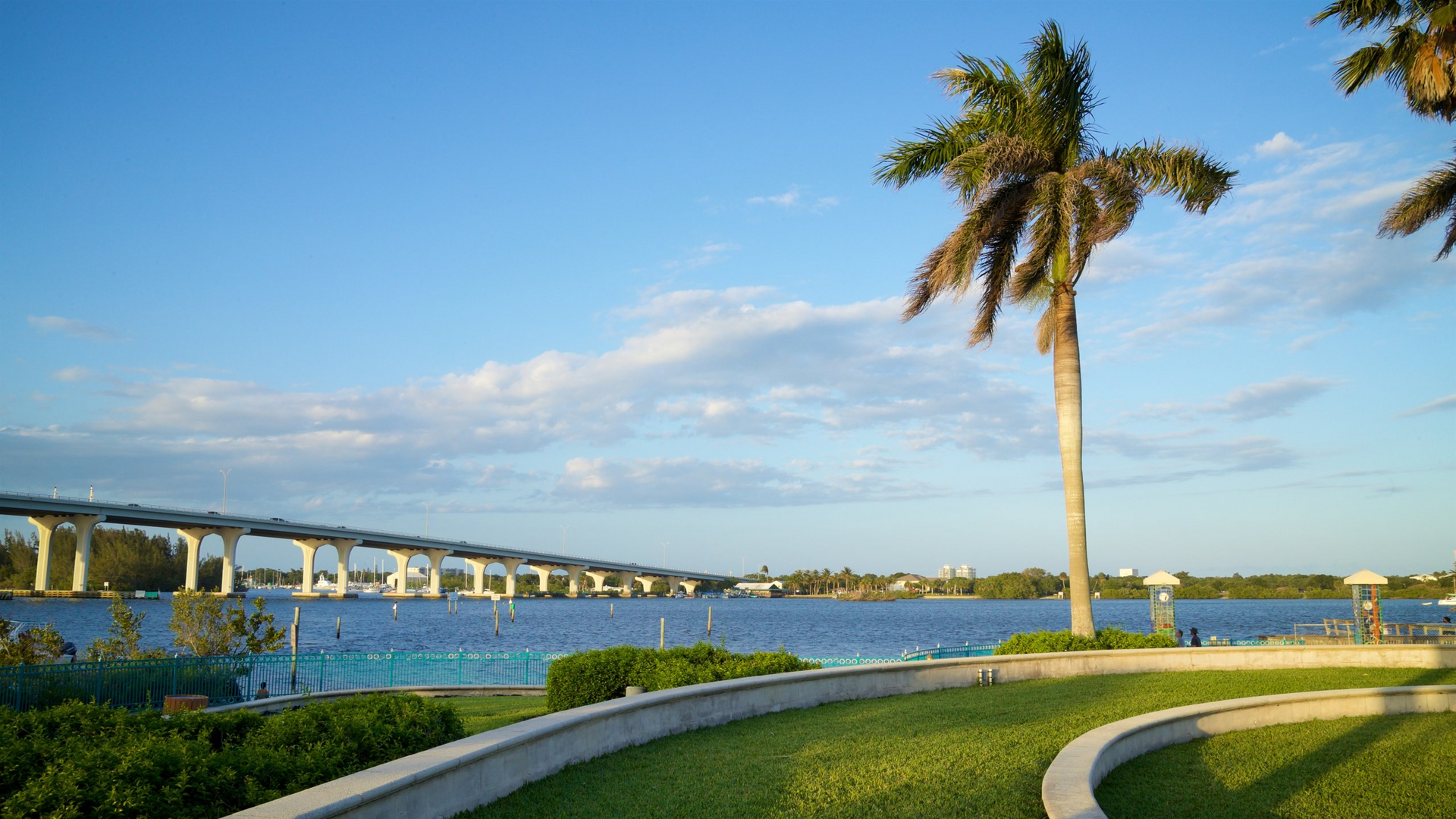 Palm tree and bridge over a waterway on a sunny day. Green grass and blue sky.