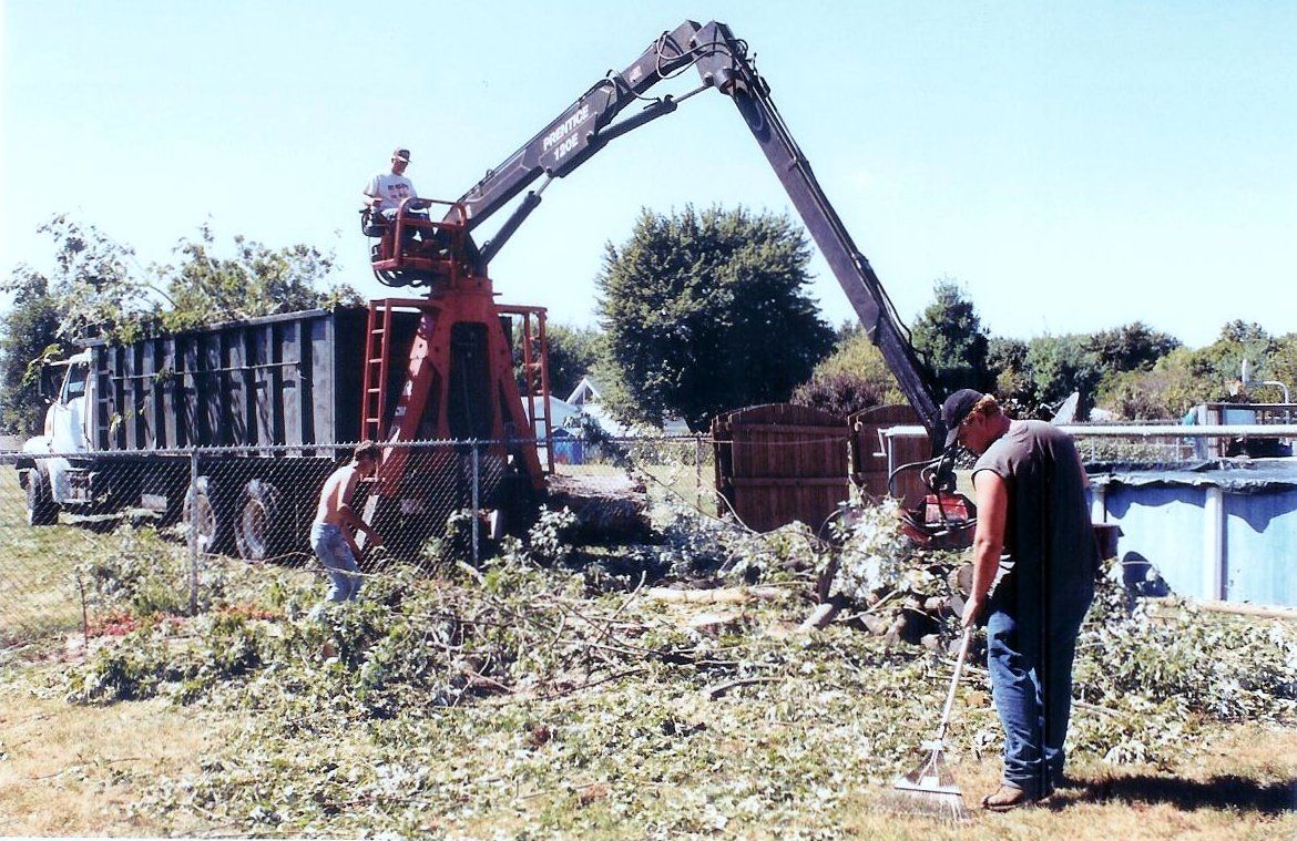 Tree removal - Tree Service in Morton, IL