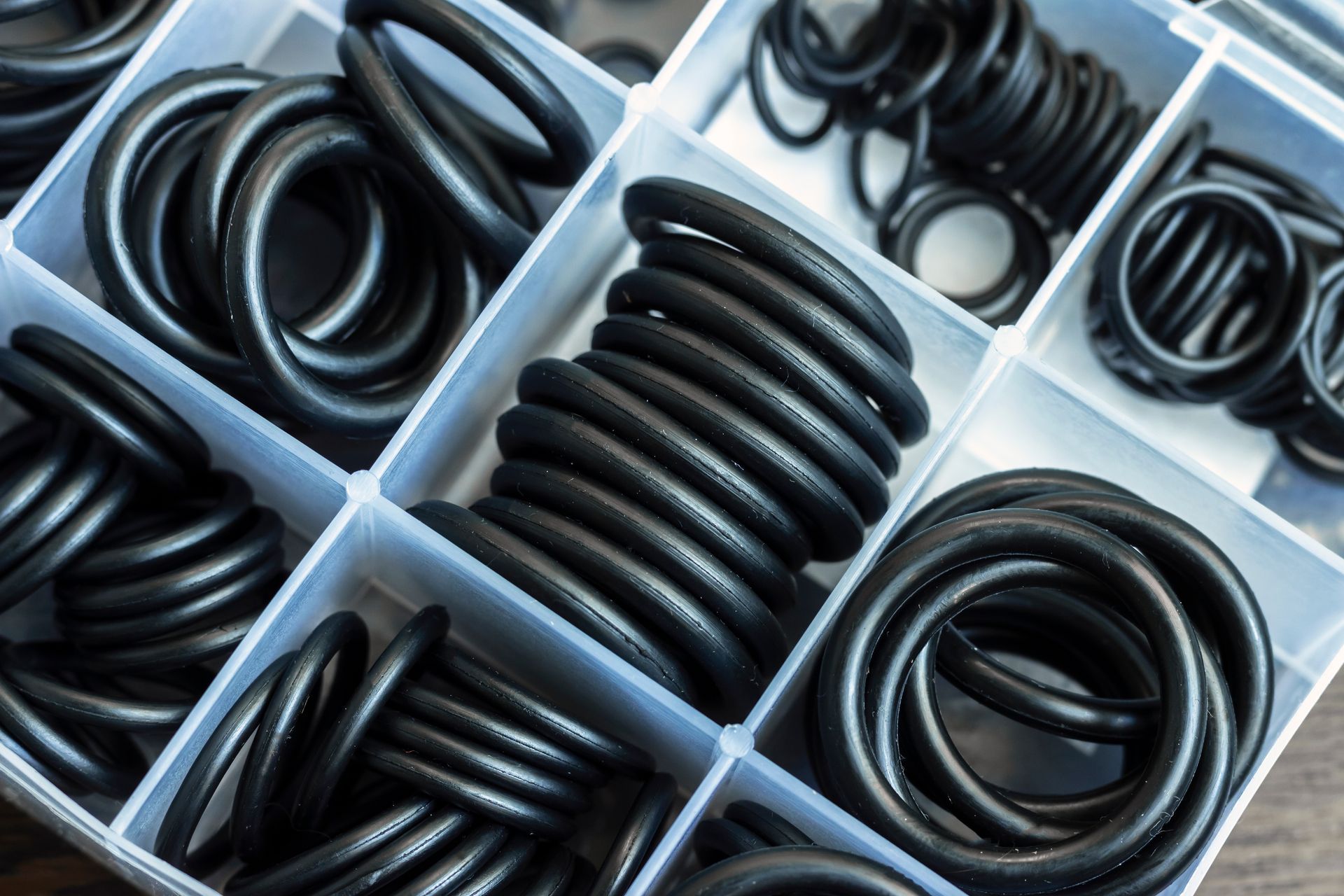 A close-up of a set of rubber O-rings in a plastic divider container.