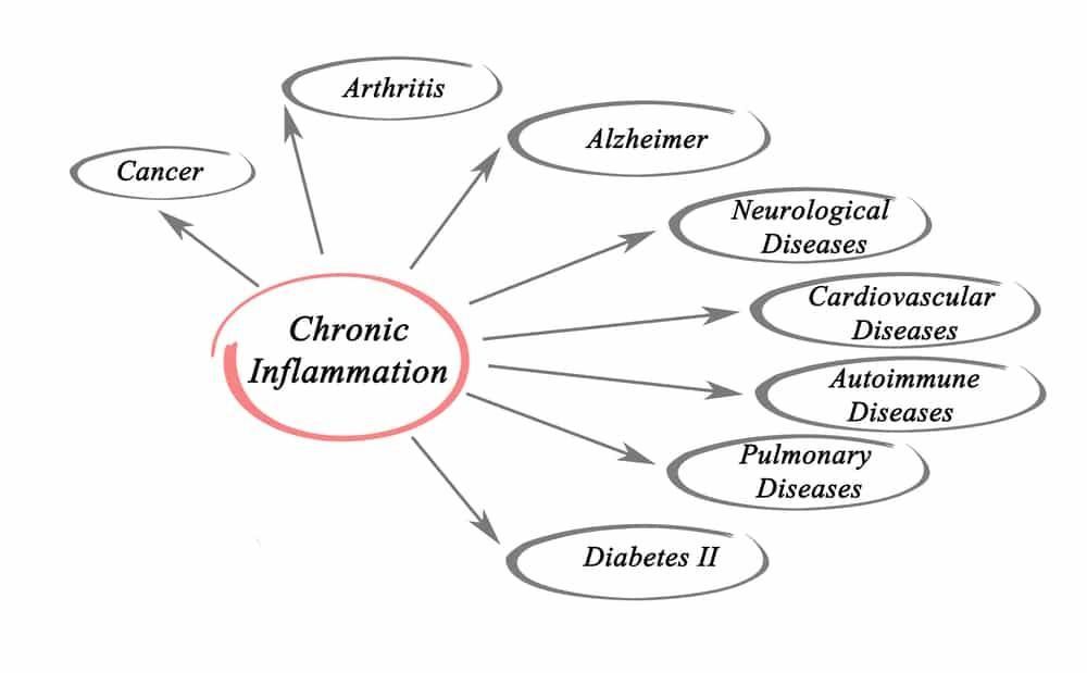 A diagram showing the causes of chronic inflammation — Nicholson, PA — Optimal Whole Health & Nutrition