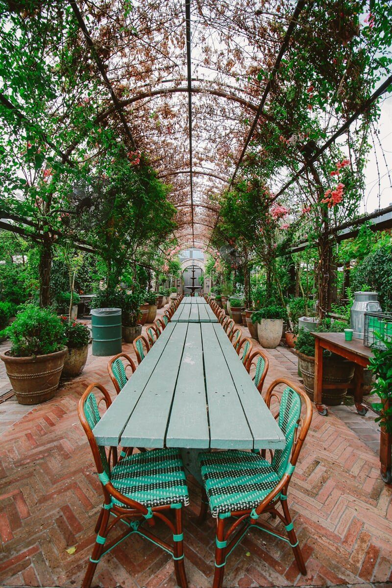Outdoor dining with lots of plants