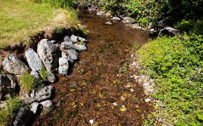 The creek at the Howard Creek Ranch Inn on the Mendocino Coast.