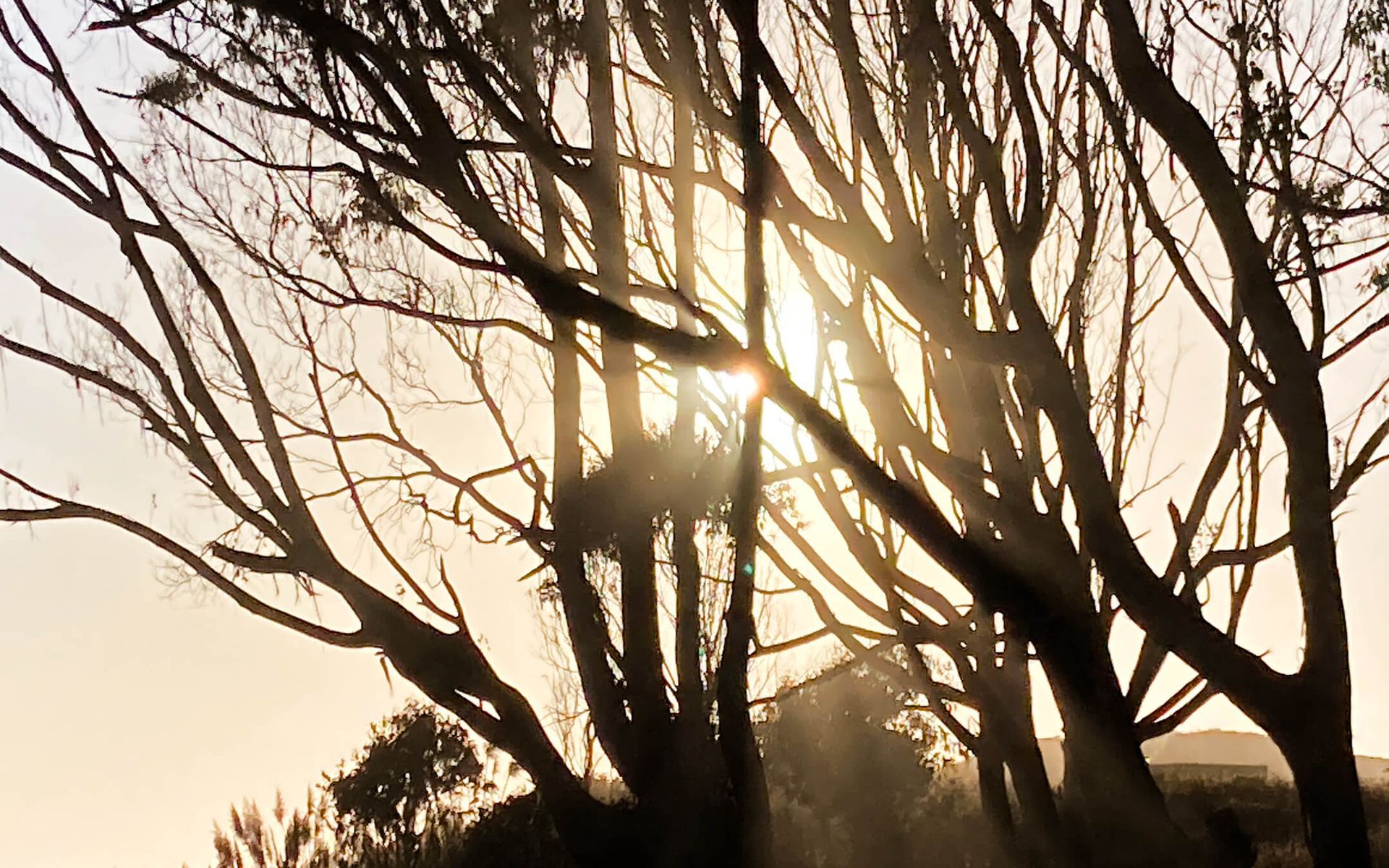 On the way to the beach at Howard Creek Ranch.