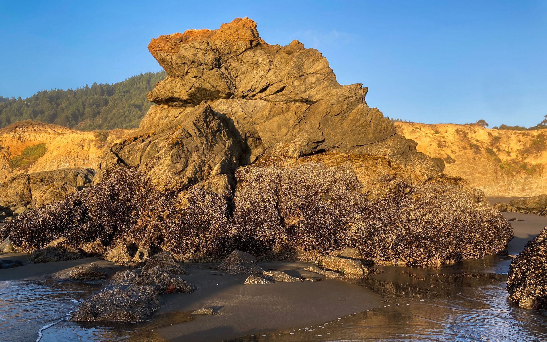 Beach detail at Howard Creek Ranch.
