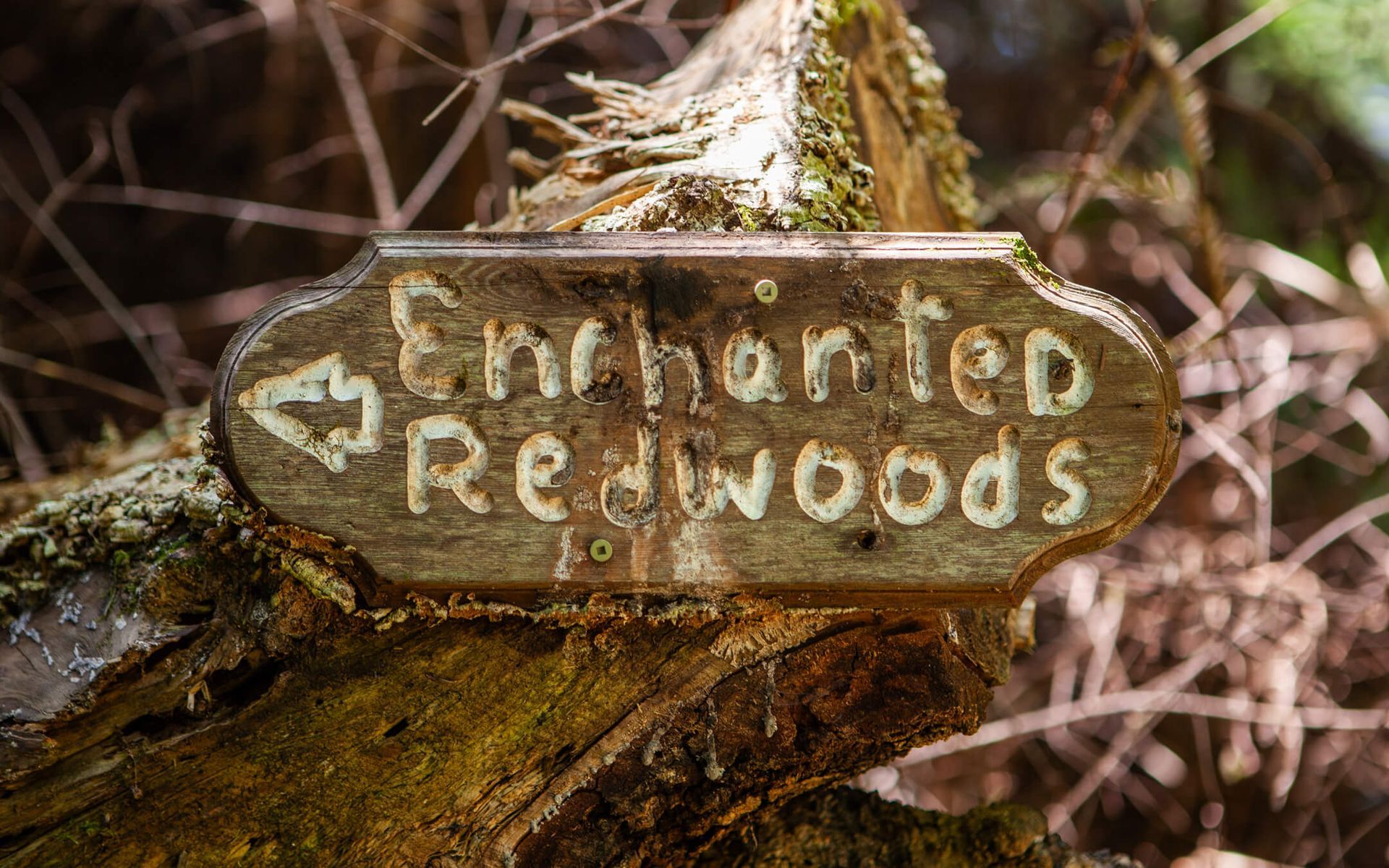 Sign for the Enchanted Forest at the Howard Creek Ranch