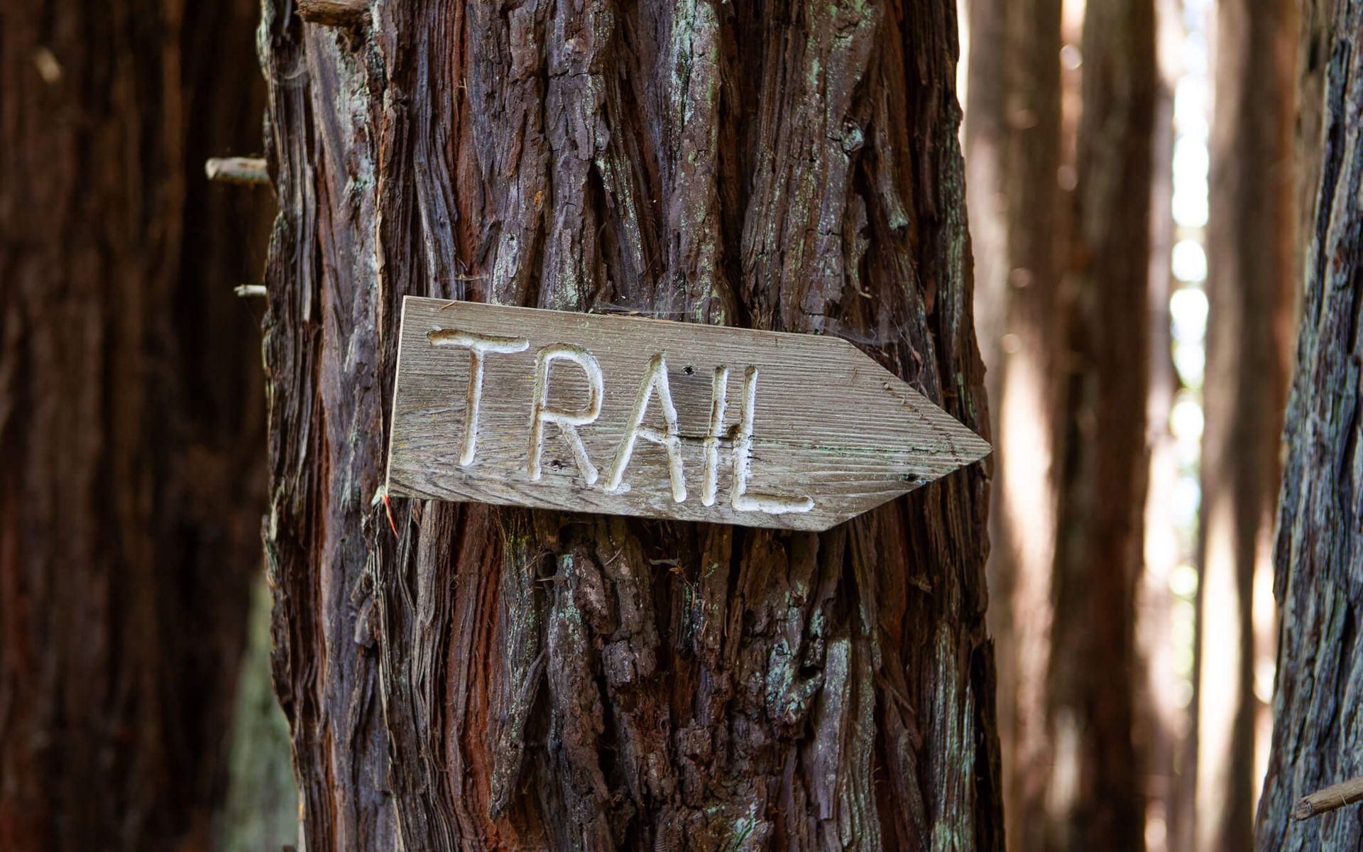 Howard Creek Ranch - trail sign