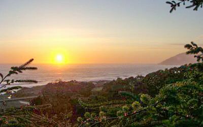 The Sea View Cabin getaway at the Howard Creek Ranch on the Mendocino Coast.