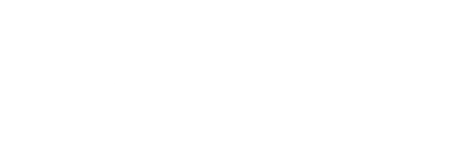 Gold Coast Windscreens