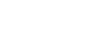 Gold Coast Windscreens