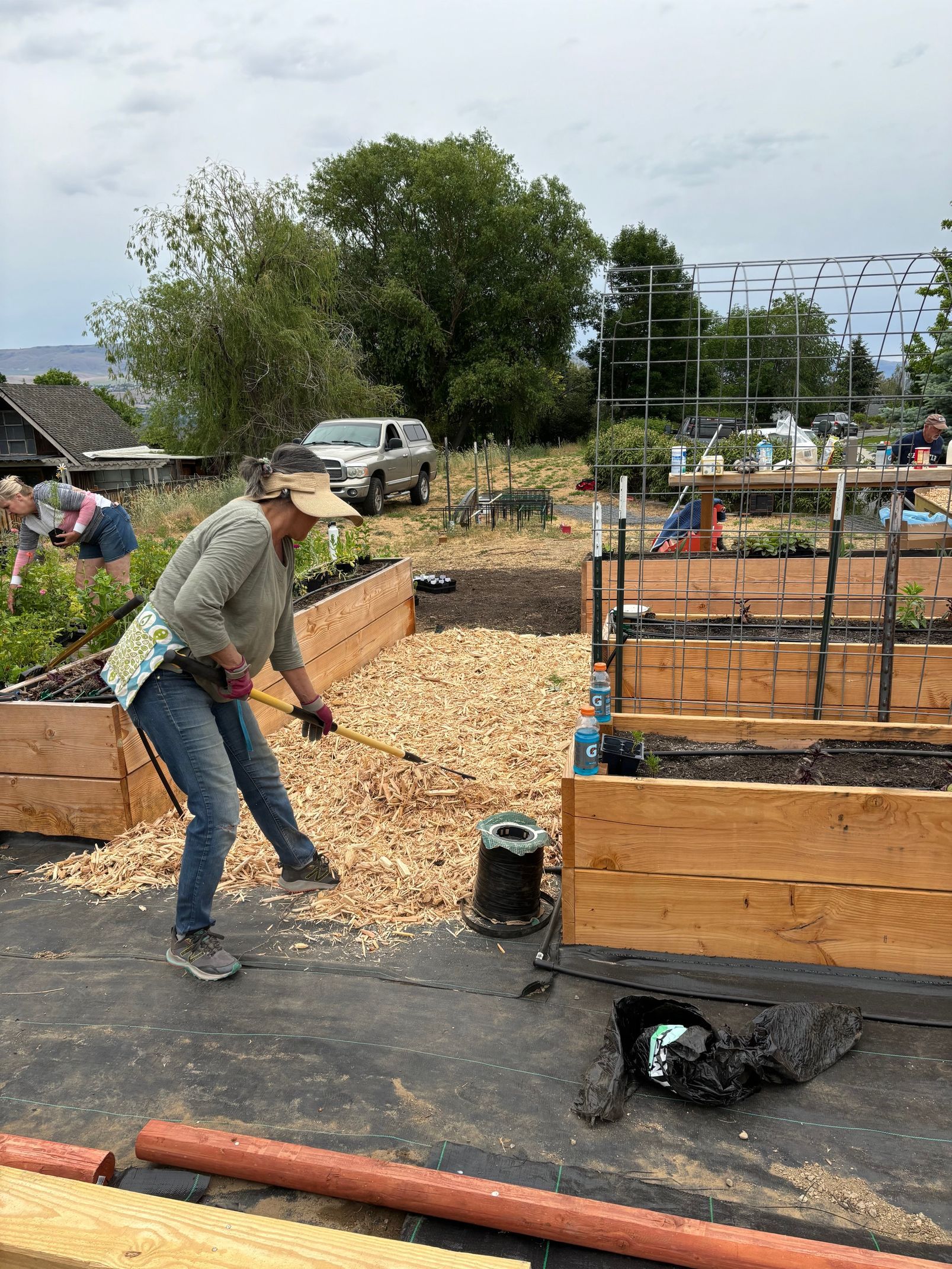 A woman is working on spreading bark chips in a garden.