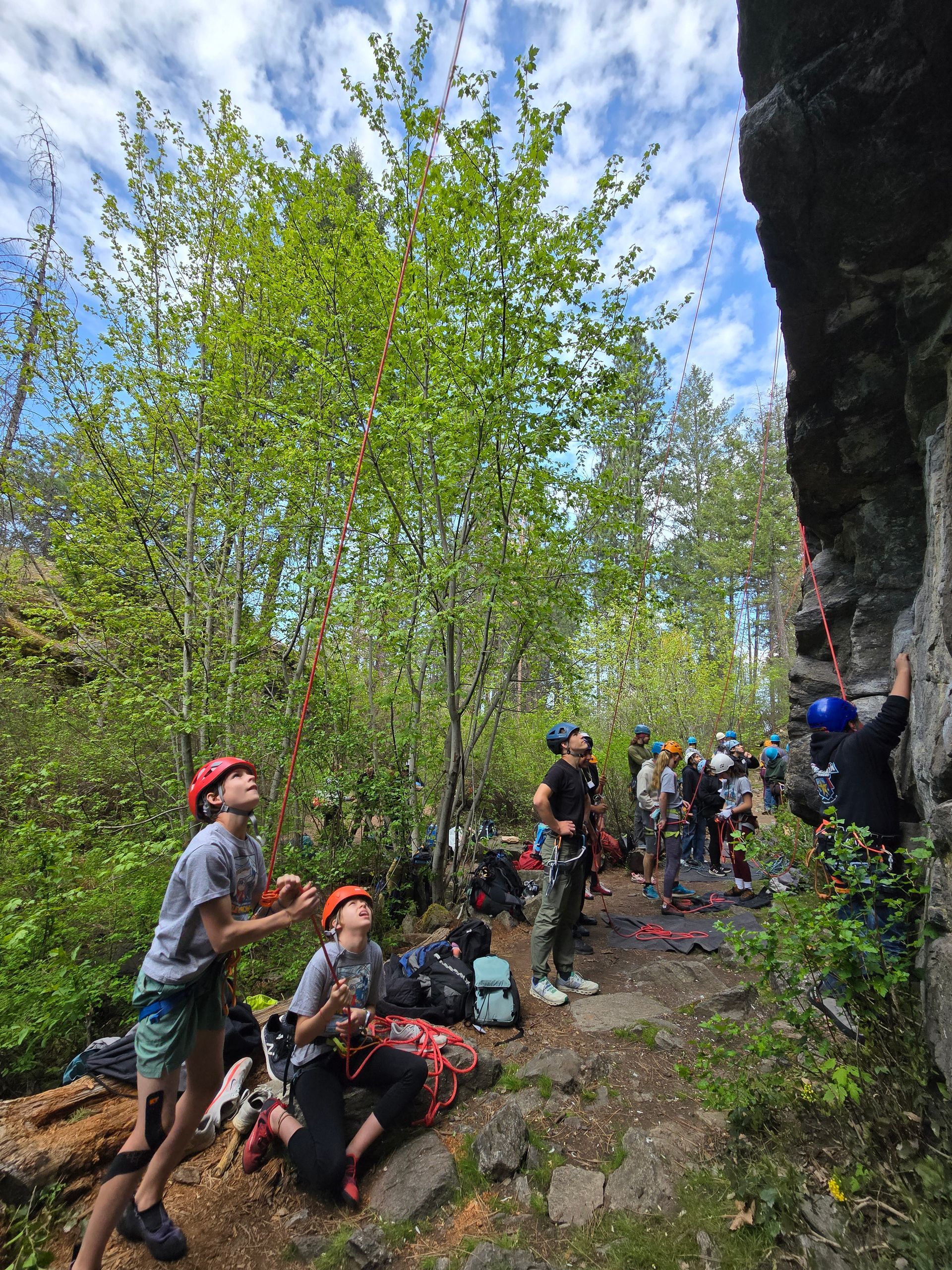 A group of people are climbing a rock wall in the woods.