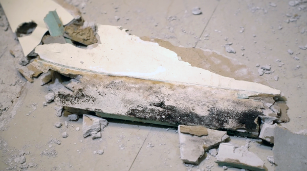 Section of moldy drywall removed during water damage restoration and mold remediation process.