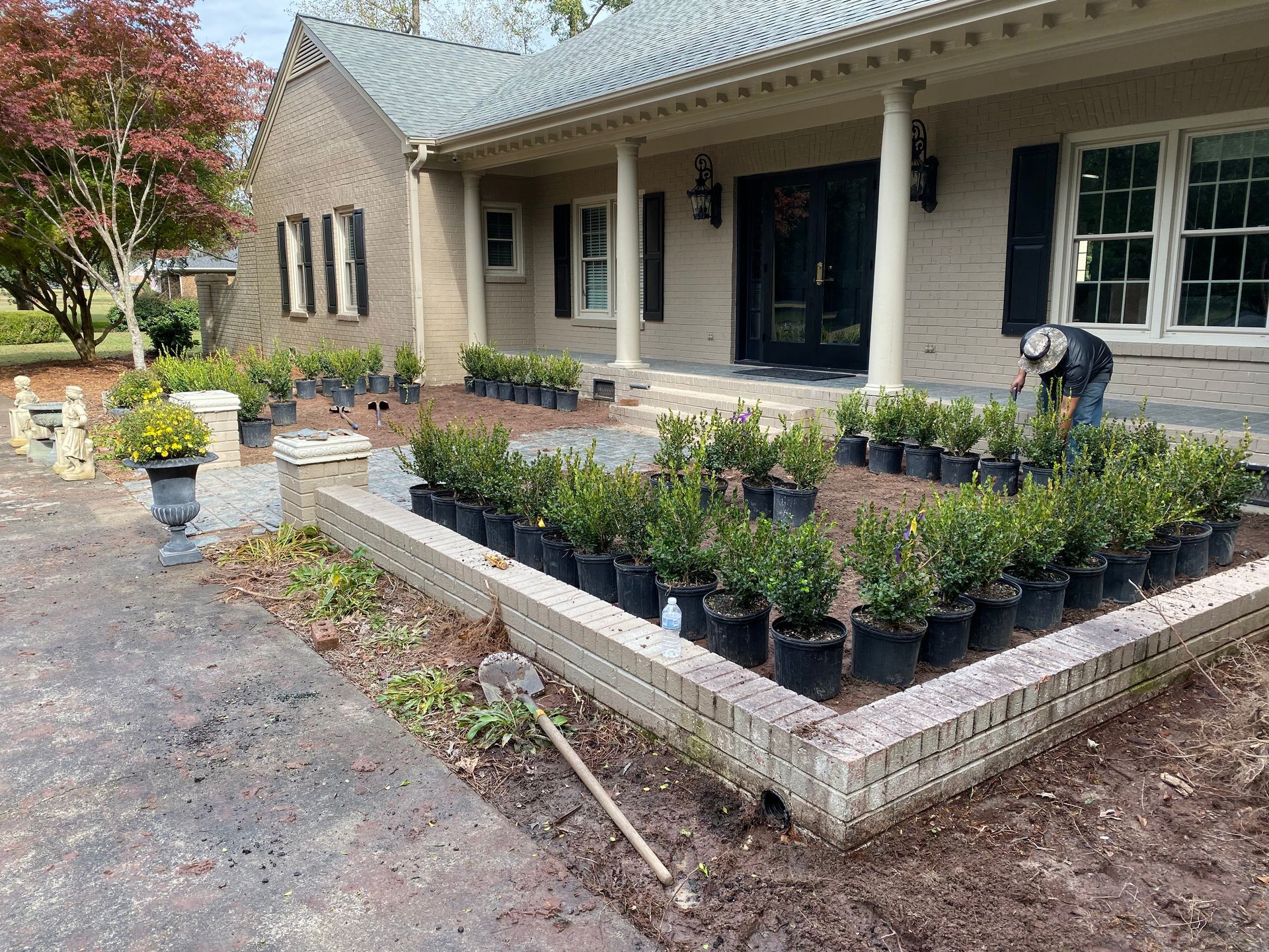Person planting bushes in front of a brick house with a porch. Rows of potted bushes in a garden bed.