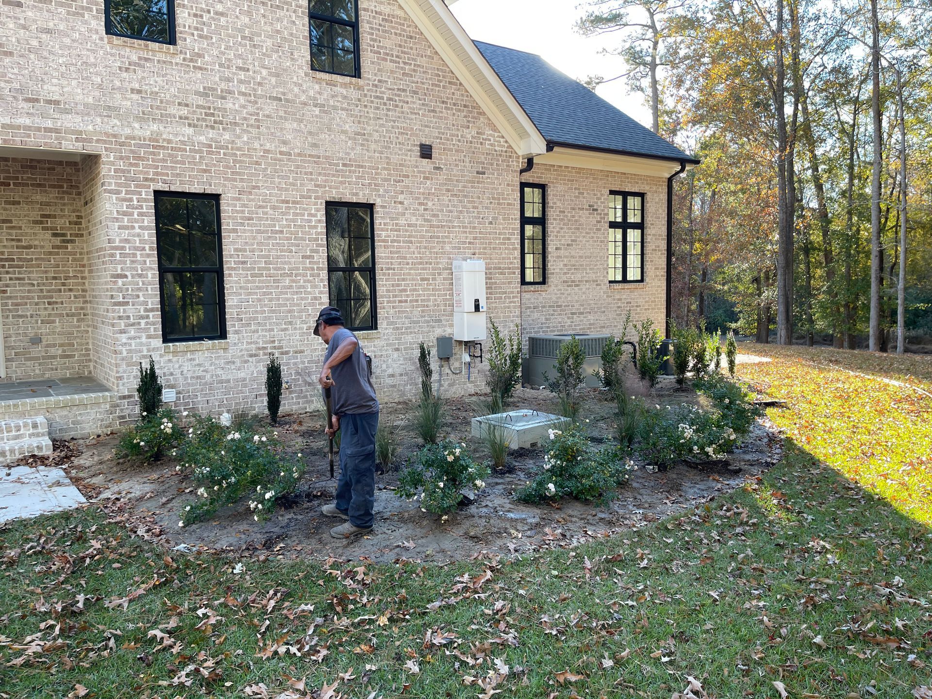 Man planting shrubs beside a brick house with black-framed windows, surrounded by grass and trees.