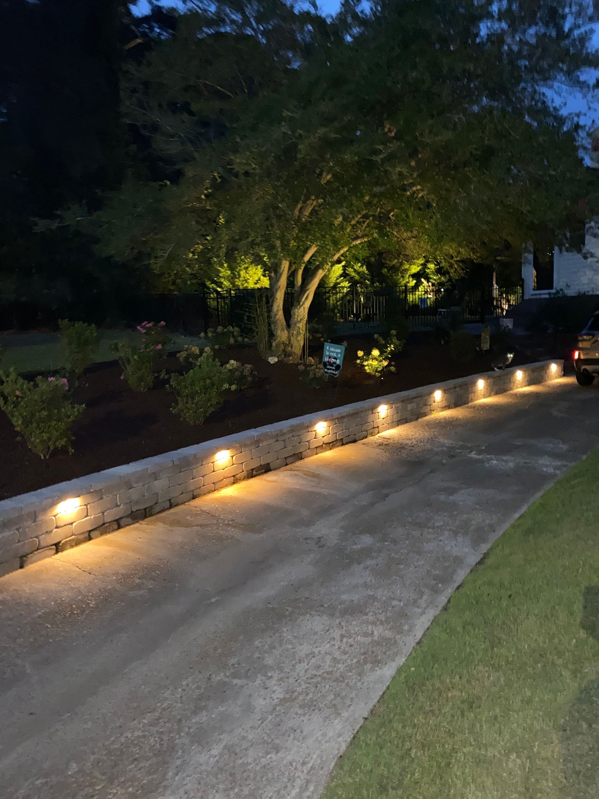 Concrete driveway with in-wall lights, a retaining wall, and tree lit with uplighting at dusk.