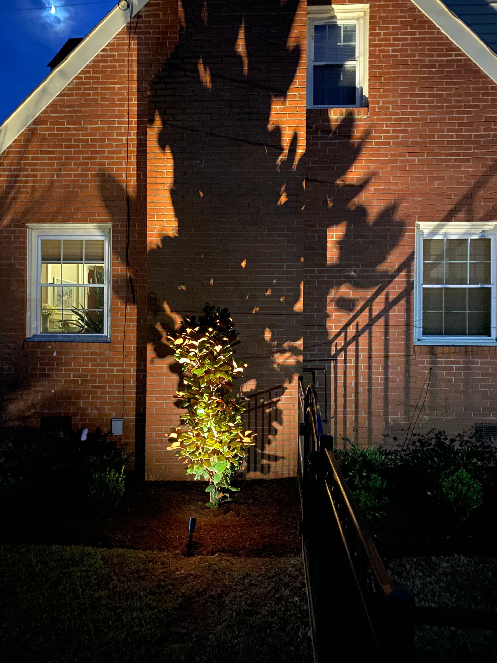 Brick house with tree shadow on the wall; small tree in front, two windows, night scene.