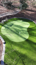 Green putting green with white flagsticks, surrounded by darker green artificial turf and a paved border.
