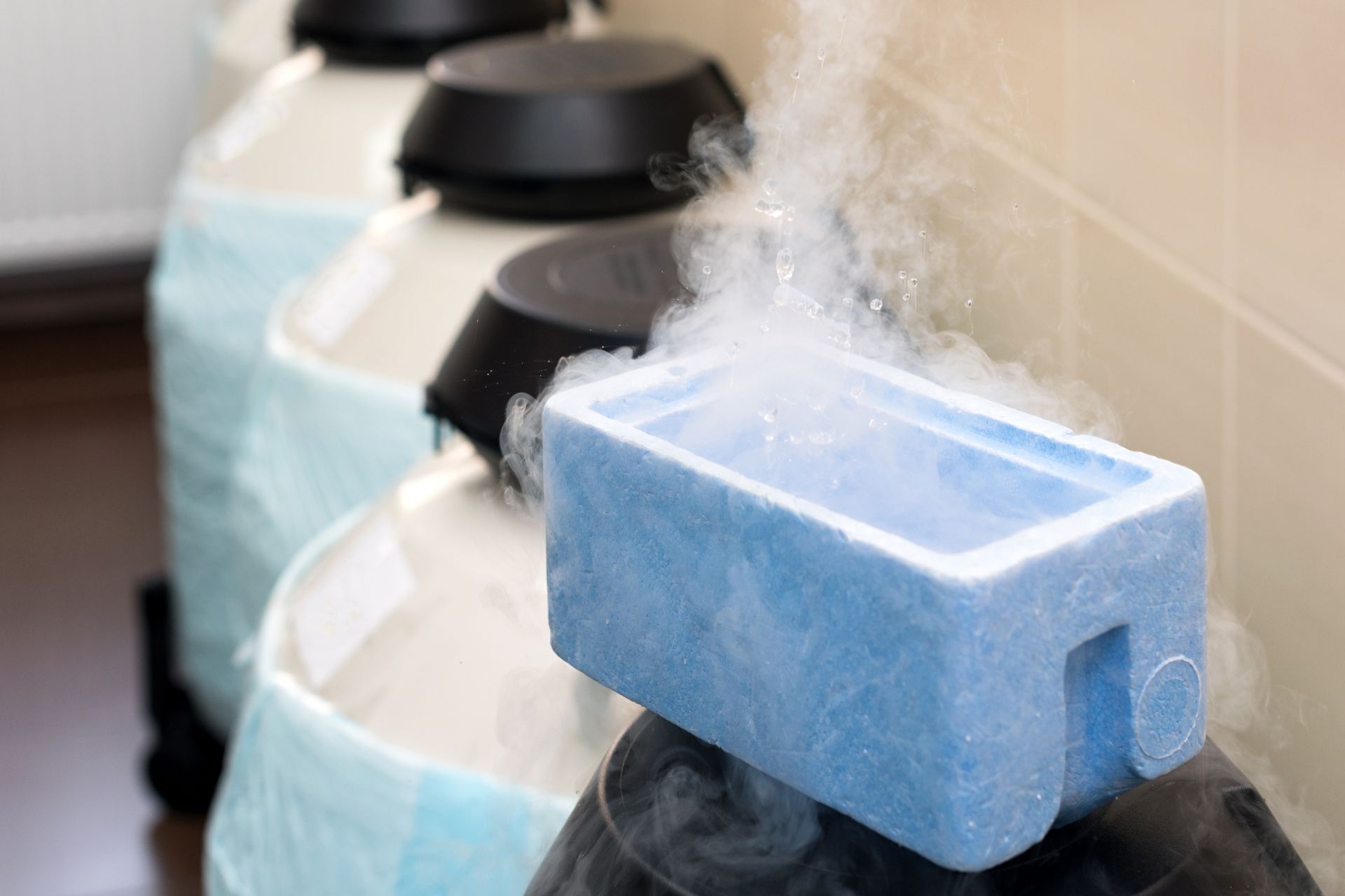 Récipient bleu avec de la vapeur au-dessus du réservoir de stockage d'azote liquide.